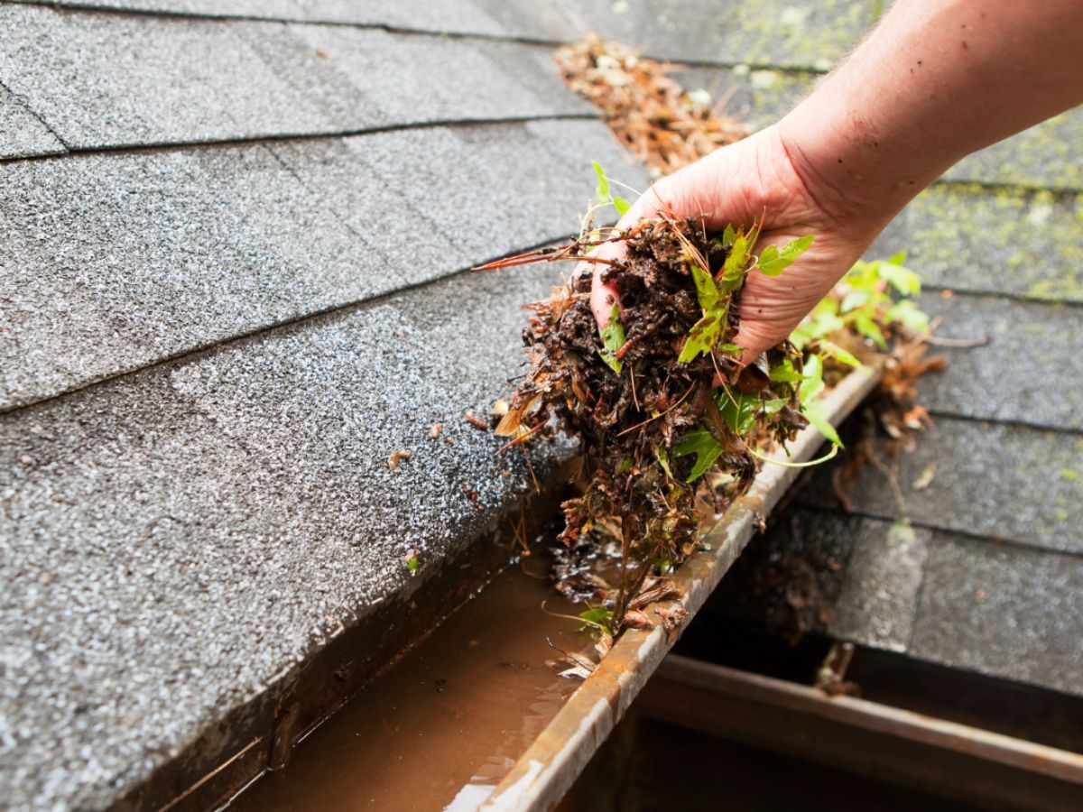 Hand pulling wet leaves and debris out of a clogged gutter at the roof edge