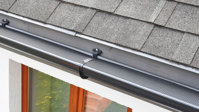 Mesh gutter guard installed along a shingled roof edge above a window