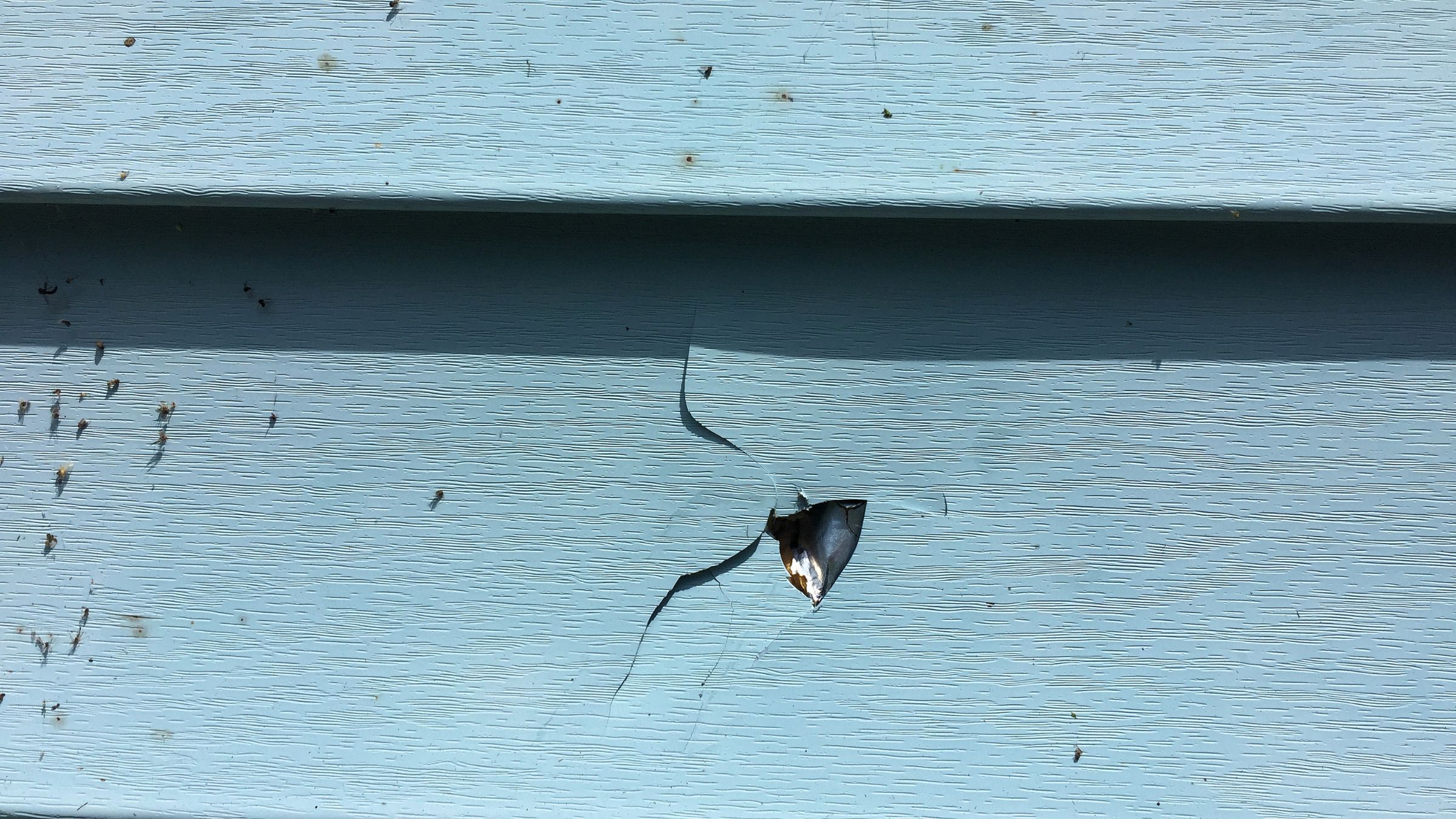 Cracked and warped siding panel on an exterior wall